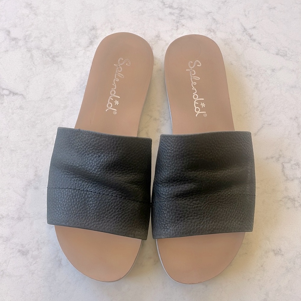 Splendid Black Slides